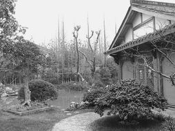 方寸苗圃，匠心筑夢 在有限空間里打造精品園林的藝術(shù)