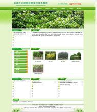 苗圃網(wǎng)站 打造園林綠化一站式產(chǎn)品參考寶典